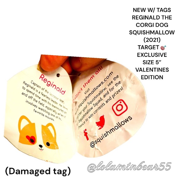 NWT OG REGINALD THE CORGI SQUISHMALLOW TARGET EXCLUSIVE VALENTINE DAY EDITION 5” - Picture 8 of 8